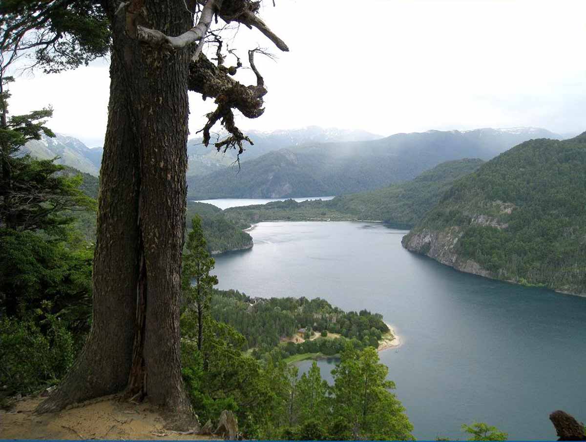 parque nacional Lago puelo