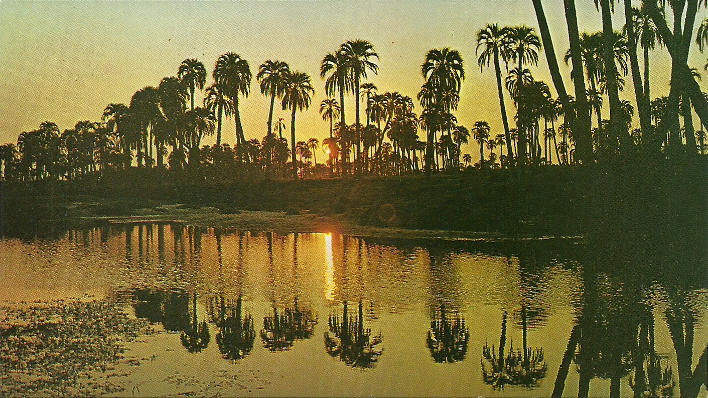 parque nacional el palmar.